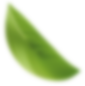 Kitla | Anasayfa