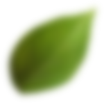 Kitla | Anasayfa
